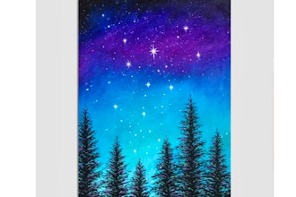Paint Nite: Magical Midnight